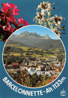 04-BARCELONNETTE-N°3852-A/0269 - Barcelonnette