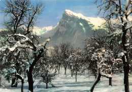 74-SAMOENS-N°3853-A/0065 - Samoëns