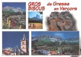 38-VERCORS-N°3853-A/0217 - Vercors