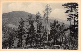 07-LA LOUVESC-N° 4451-E/0187 - La Louvesc