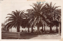 83-SAINTE MAXIME-N°3855-F/0383 - Sainte-Maxime