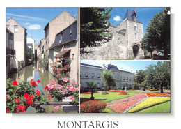 45-MONTARGIS-N° 4454-D/0083 - Montargis