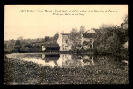 52 - FAYS-BILLOT - MOULIN A EAU AUX MOINES ET SON ETANG - Fayl-Billot