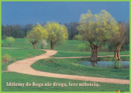Voyo  LANDSCAPE Willows In Masuria  2005 MINT 166 St.Paul - Bäume