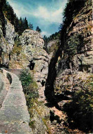 26 - Drome - Vercors - Les Gorges De La Vernaison Et Les Grands Goulets - CPM - Voir Scans Recto-Verso - Les Grands Goulets