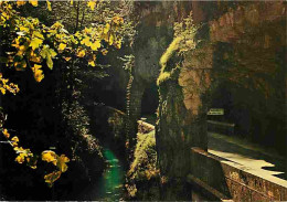 26 - Drome - Vercors - Intérieur Des Grands Goulets - CPM - Voir Scans Recto-Verso - Les Grands Goulets