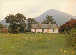 Irlande - Crough Patrick Mountain - Thatched Cottage - Real Ireland Card - CPM - Voir Scans Recto-Verso - Sonstige & Ohne Zuordnung
