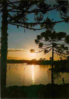 Brésil - Coucher De Soleil - Carte Neuve - CPM - Voir Scans Recto-Verso - Altri