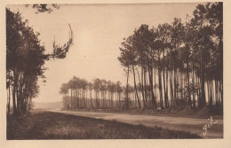 CPSM Circuit Des 24 Heures - N°15 - Les Sapins - Entre 1950 Et 1960 - Ed° GIL, Le Mans - Sonstige & Ohne Zuordnung