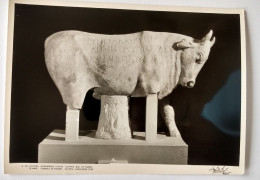 Olympia / Ancient Art / Greek Art Bull - Museen