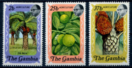 Gambia Michel-Nr. 281-283 Postfrisch - Gambie (1965-...)