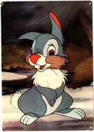 Humour : Walt Disney Production : WD 2/11 : Disneyworld : Panpan - Le Lapin - Sonstige & Ohne Zuordnung