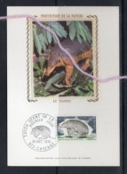 ( Alm)  FRANCE  CARTE MAXIMUM TATOU GEANT DE CAYENNE GUYANE - Other & Unclassified