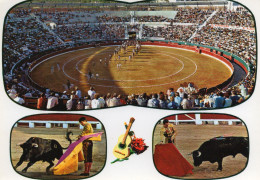 CPM - N - ESPAGNE - CORRIDA - ARENES - A SITUER - Corrida
