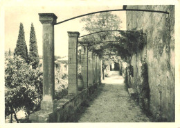 VILLENEUVE Les Avignon - 3 Cartes Hostellerie Du Prieuré - Ed. Arlaud - VENTE DIRECTE X - Villeneuve-lès-Avignon
