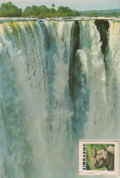 Airmail AK  "Victoria Falls"  Salisbury - Burgdorf         1981 - Zimbabwe (1980-...)