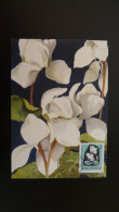 Carte Maximum Card Fleur Cyclamen Flower Albania 1971 - Albanie