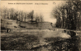 CPA Env. CHATILLON-COLIGNY Arenes De Chenevieres (607476) - Chatillon Coligny
