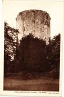 CPA CHATILLON-COLIGNY - Le Donjon (228548) - Chatillon Coligny