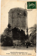 CPA CHATILLON-COLIGNY - Donjon Polygonal Du XII Siecle (228546) - Chatillon Coligny