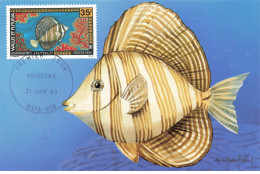 CARTE MAXIMUM #23481 WALLIS ET FUTUNA MATA UTU 1993 POISSON ZEBRASOMA - Cartes-maximum