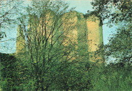 BELGIQUE - Theux - Château - Franchimont - Donjon - Bâtiment - Tour - Bois - Paysage - Ed Sagato - Carte Postale - Theux