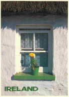 Irlande - An Irish Window - 115 - Ireland People And Places Card - CPM - Voir Scans Recto-Verso - Sonstige & Ohne Zuordnung
