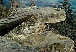 88 - Senones - Roche Mère Henry - CPM - Voir Scans Recto-Verso - Senones