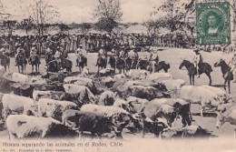 CHILI(TYPE) HUASOS(RODEO) - Chile