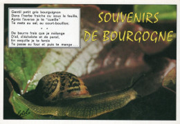 - SOUVENIRS DE BOURGOGNE - Le Petit Gris De Bourgogne - - Ricette Di Cucina
