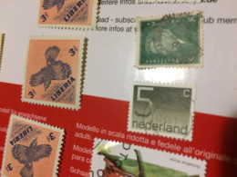 OLANDA ORDINARIO GRIGIO  1 VALORE ! - Autres - Europe