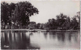 41 - B33375CPSM - SAINT AIGNAN - La Plage Sur Le Cher - Très Bon état - LOIR-ET-CHER - Saint Aignan