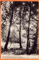 84 - B34566CPA - CARPENTRAS - Villa St. Saint Joseph - Coin Du Parc - Très Bon état - VAUCLUSE - Carpentras
