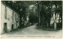 82 - B16350CPA - MONTAIGU DU QUERCY - Promenades - Bon état - TARN-ET-GARONNE - Montaigu De Quercy