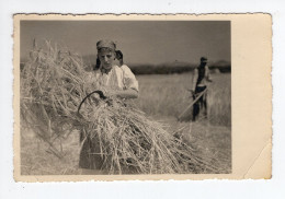 1939. KINGDOM OF YUGOSLAVIA,CROATIA,ZAGREB CANCELLATION,WHEAT HARVEST,POSTCARD,USED - Yugoslavia