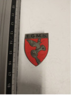 INSIGNE 1° GMS 1° Groupement De Missiles Stratégiques ,- DRAGO PARIS A 999 - Army