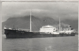 PHOTO FORMAT CARTE POSTALE   BATEAUX - Ferries