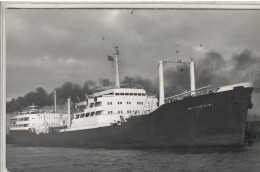 PHOTO FORMAT CARTE POSTALE   BATEAUX - Ferries