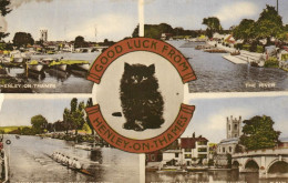 Royaume-Uni > Angleterre > Henley-on-Thames - 18033 - Autres & Non Classés