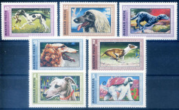 Fauna. Cani 1972. - Autres & Non Classés