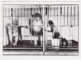 - M57415CPM - ANIMAUX - LE LION - Jean Pierre CHOPIN - Edition A Tirage Limité - Très Bon état - THEMES - Löwen