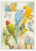 Maximum Card Czech Republic 2004 Bird - Parakeet - Lovebird - Autres & Non Classés