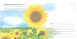 BELARUS # POSTAL LETTER FROM 2011 NUMBER 146K - Belarus