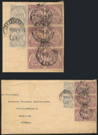 TRANSVAAL: Wrapper For Printed Matter Sent From Johannesburg To Berlin On 4/FE/1895 With Spectacular Postage Of 16p. Con - Transvaal (1870-1909)