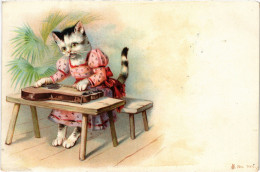 PC CATS, ANTHROPOMORPHIC CAT PLAYING AN INSTRUMENT, Vintage Postcard (b46650) - Cats