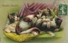 PC CATS, AMITIÉ SINCÉRE, Vintage EMBOSSED Postcard (b47044) - Cats