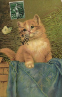 PC CATS, A RED CAT WITH A BUTTERFLY, Vintage Postcard (b47121) - Cats