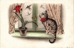 PC CATS, A GREY CAT LOOKING AT BIRDS, Vintage Postcard (b46591) - Cats