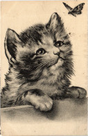 PC CATS, A CAT WATCHING A BUTTERFLY, Vintage Postcard (b46667) - Cats