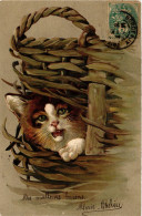 PC CAT, CAT IS LOOKING OUT FROM A BASKET, VINTAGE EMBOSSED POSTCARD (b3856) - Cats